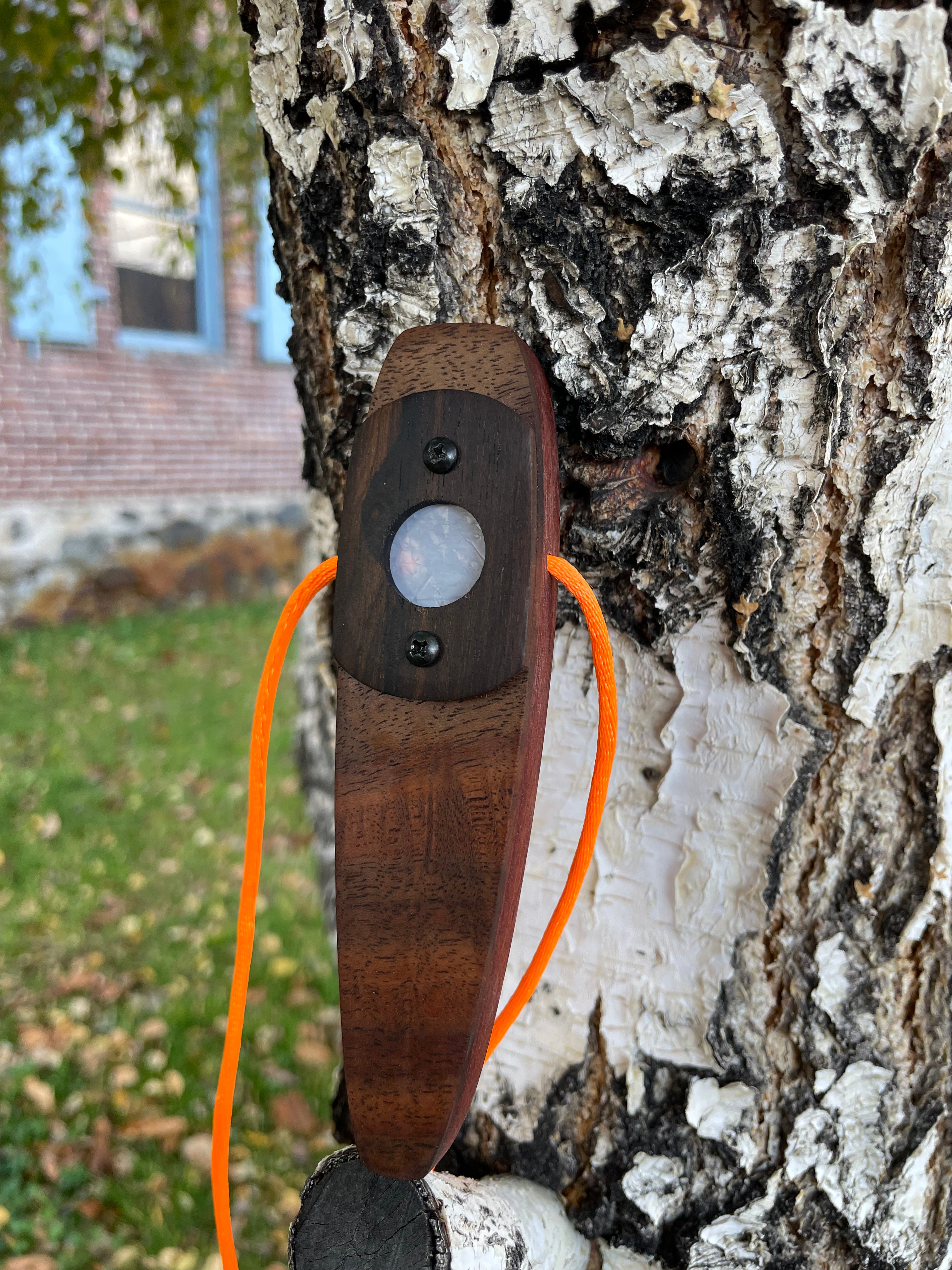 Kazoo dollar deals tree